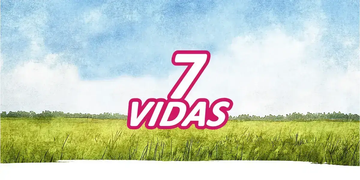siete vidas project