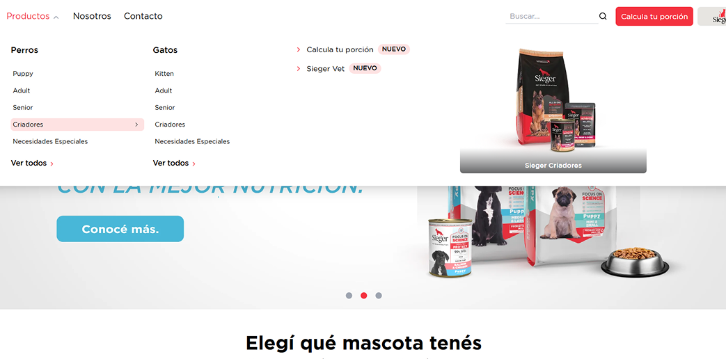 Optimization of Sieger's institutional site on desktop and mobile