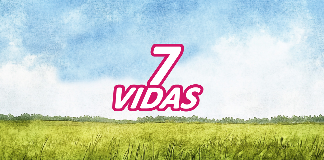 Siete Vidas interface showcasing feline nutrition products and analytics integration